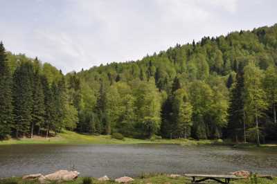 Torkul Yaylası ve Göleti